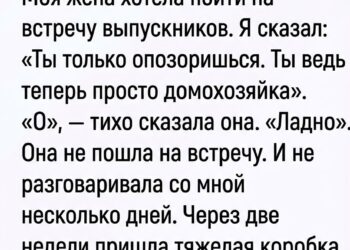 Всего лишь домохозяйка