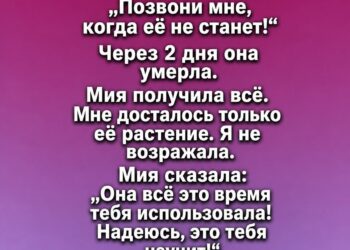 Мое сердце