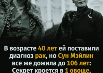 Секреты долголетия и питания Сун Мэйлин