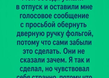 Скорее всего, они думают, что у тебя не хватит ума смастерить шляпу