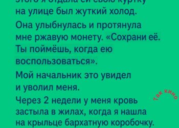 Цена человечности