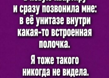 Зачем в некоторых туалетах есть странная «полочка» внутри унитаза